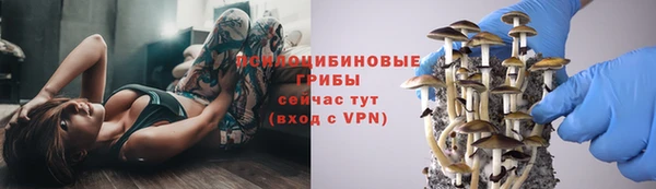 соль ск Кинешма