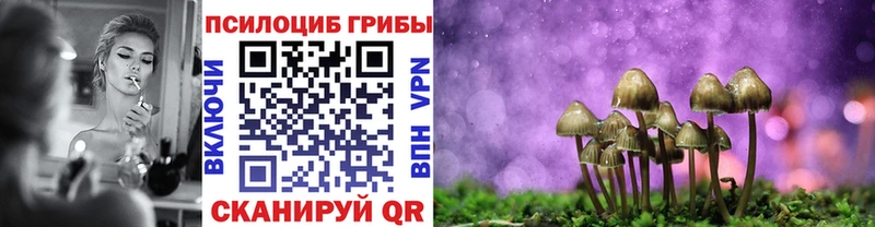 hydra онион  Кирс  Галлюциногенные грибы Magic Shrooms 